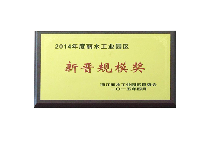 2014年新晉規模獎