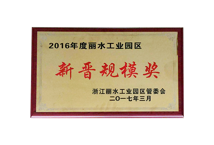 2016年新晉規模獎